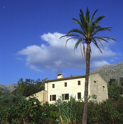 Kamera: D:\Daten\Bilder\Reisen\Mallorca\Web\Haus mit Palme.jpg<br>
0 x 0 - 31,6 KB
