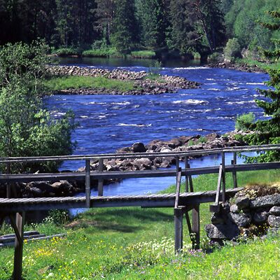 Kamera: D:\Daten\Bilder\Roh-Scan\Schweden\Web\AmFluss07.jpg<br>
400 x 400 - 57,9 KB