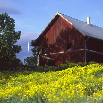 Kamera: D:\Daten\Bilder\Roh-Scan\Schweden\Web\Hof03.jpg<br>
400 x 400 - 36,1 KB