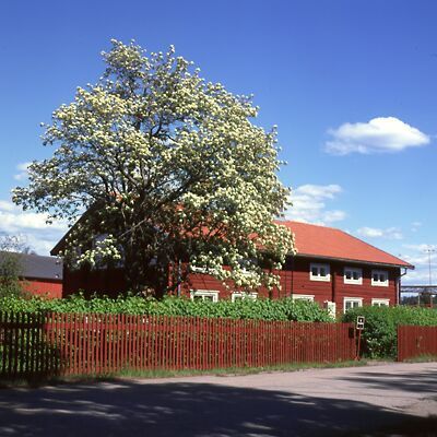 Kamera: D:\Daten\Bilder\Roh-Scan\Schweden\Web\Falun08.jpg<br>
400 x 400 - 41,6 KB