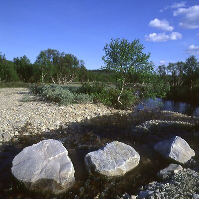 Kamera: D:\Daten\Bilder\Roh-Scan\Schweden\Web\Fj&auml;ll Vorland08.jpg<br>
400 x 400 - 36,8 KB