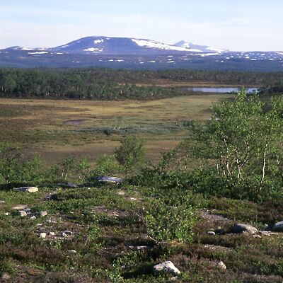 Kamera: D:\Daten\Bilder\Roh-Scan\Schweden\Web\Fj&auml;ll Vorland04.jpg<br>
400 x 400 - 43,0 KB