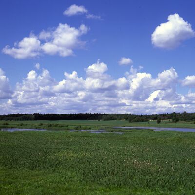 Kamera: D:\Daten\Bilder\Roh-Scan\Schweden\Web\Schutzgebiet03.jpg<br>
400 x 400 - 26,8 KB