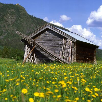 Kamera: D:\Daten\Bilder\Roh-Scan\Schweden\Web\H&uuml;tte01.jpg<br>
400 x 400 - 41,3 KB
