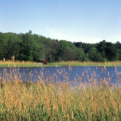 Camera: D:\Daten\Bilder\Roh-Scan\Schweden\Web\Seeufer01.jpg<br>
400 x 400 - 35,9 KB