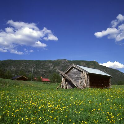 Camera: D:\Daten\Bilder\Roh-Scan\Schweden\Web\H&uuml;tte03.jpg<br>
400 x 400 - 35,2 KB