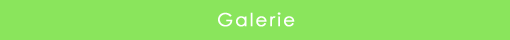 Galerie